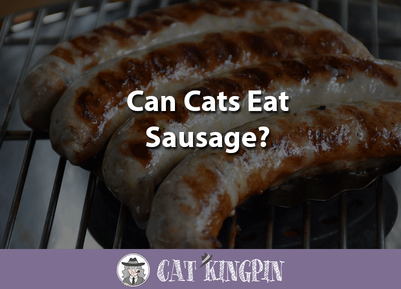 Can cats eat sausage