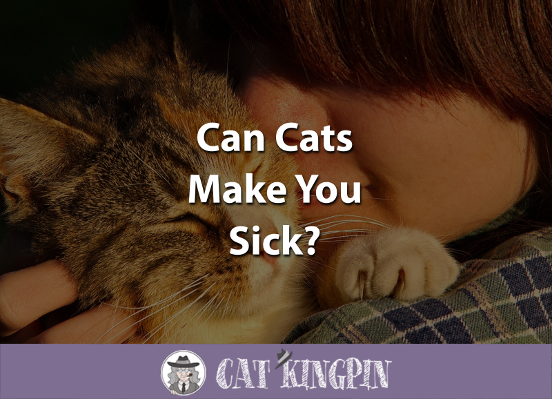 Can Cats Make You Sick