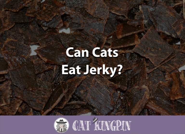 Can Cats Eat Jerky?