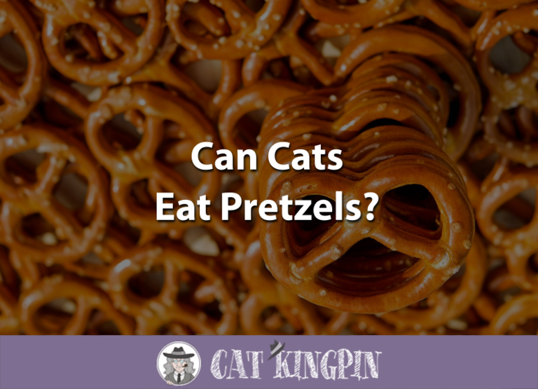 Can Cats Eat Pretzels?