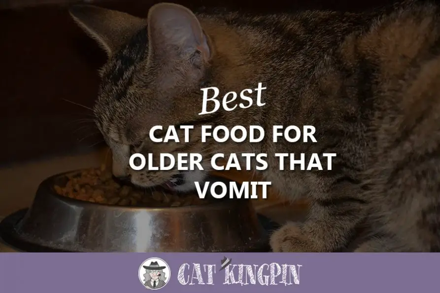 Best Cat Food For Older Cats That Vomit in 2024 Buyer's Guide